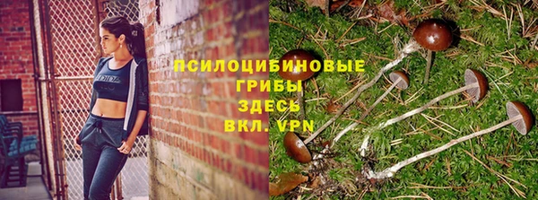 гашишное масло Балабаново