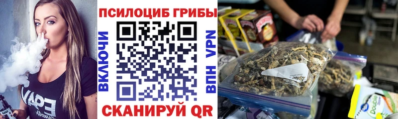 Псилоцибиновые грибы мицелий  даркнет сайт  Шадринск 