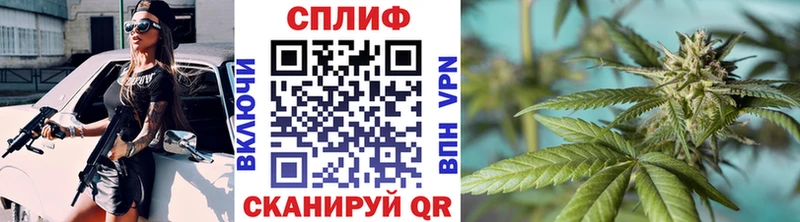 наркошоп  Шадринск  Шишки марихуана гибрид 